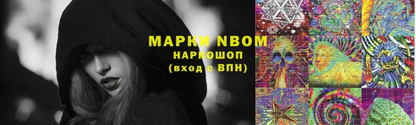 PSILOCYBIN Медногорск