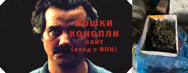 PSILOCYBIN Медногорск
