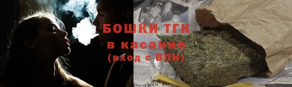 шишки Магас