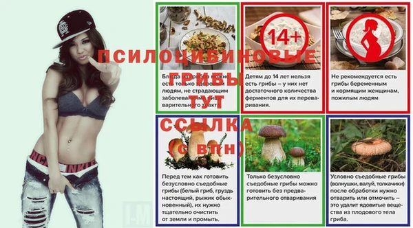 ALPHA-PVP Медвежьегорск