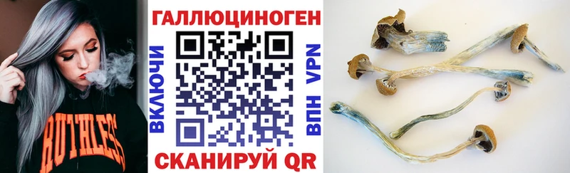 ссылка на мегу ONION  Суджа  Галлюциногенные грибы прущие грибы 