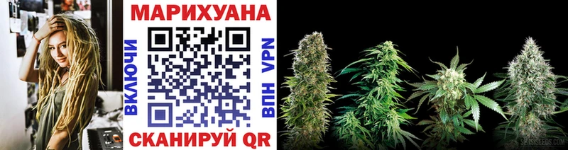 Бошки марихуана план  Суджа 